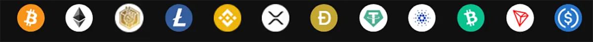Row of cryptocurrency payment icons on a dark background, including Bitcoin, Ethereum, Litecoin, Binance Coin, Ripple, Dogecoin, Tether, Cardano, Bitcoin Cash, TRON, and USD Coin, indicating supported crypto payment options.